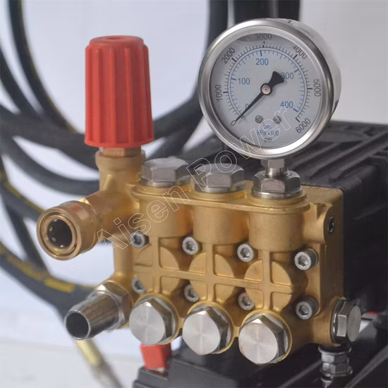 Изготовленная на заказ бензиновая мойка высокого давления для сельскохозяйственной очистки